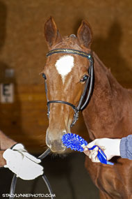 Coffee's Surprise at his 2012 Inspection